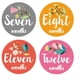 thumbnail image 4 of Baby Milestone Stickers Floral Month Sticker for Infant Use 12Pcs Set, 4 of 5
