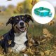 thumbnail image 3 of Snoop Dog Collar - Collar para perros ajustable (collar antideslizante) - alta calidad e impermeable, 3 of 5