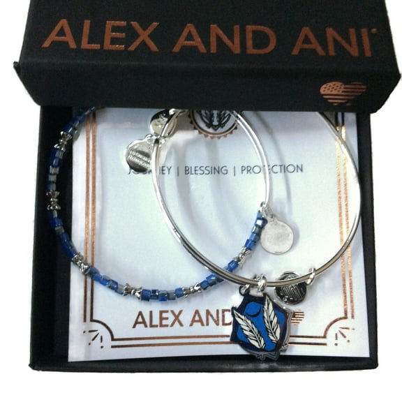 Alex and Ani Godspeed Color Infusion Set of Two Bangle Bracelets - Shiny Silver