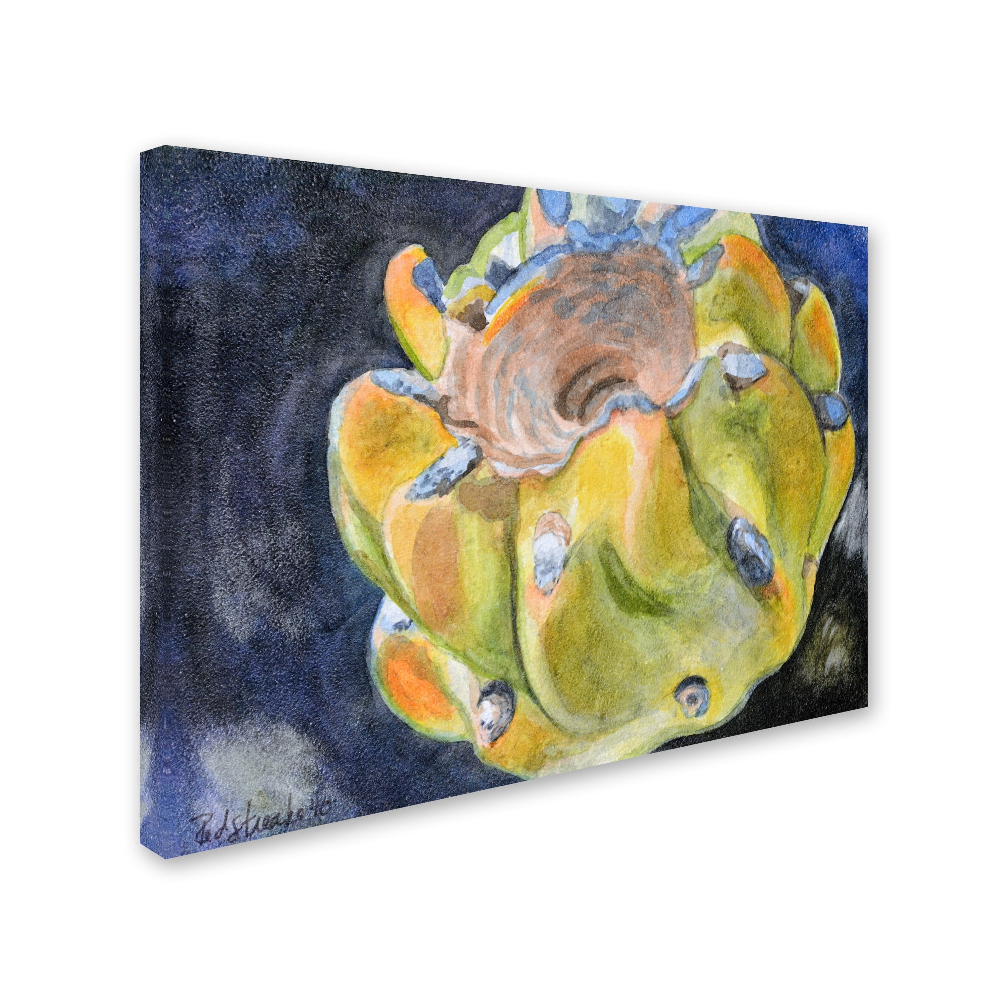 Trademark Fine Art "Cactus Fruit" Canvas Art by Jennifer Redstreake