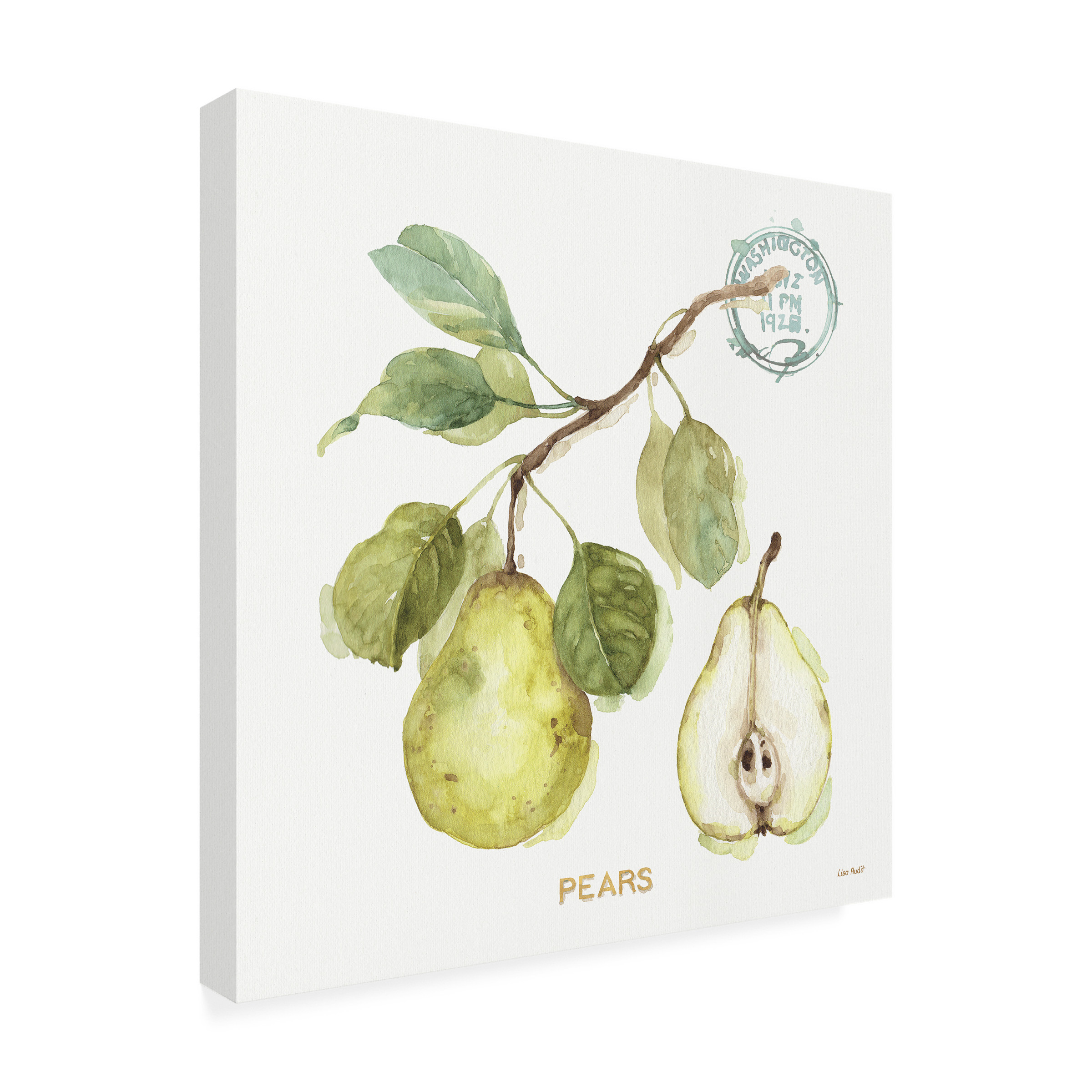 Trademark Fine Art "My Greenhouse Fruit I" Canvas Art by Lisa Audit