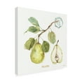 thumbnail image 4 of Trademark Fine Art "My Greenhouse Fruit I" Canvas Art by Lisa Audit, 4 of 4