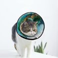 thumbnail image 1 of Sea Turtle Soft Cat Dog Recovery Collar Adjustable Cat Cone Wound Healing Protective After Surgery for Medium Dogs, 1 of 7
