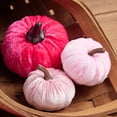 thumbnail image 3 of Pink Velvet Pumpkin Decor, Velvet Pumpkins, Halloween Pumpkin Decorations, Fall Decorations for Home, 12-Piece Assorted Shades Pink Artificial Flocked Pumpkin Set for Halloween,, 3 of 3