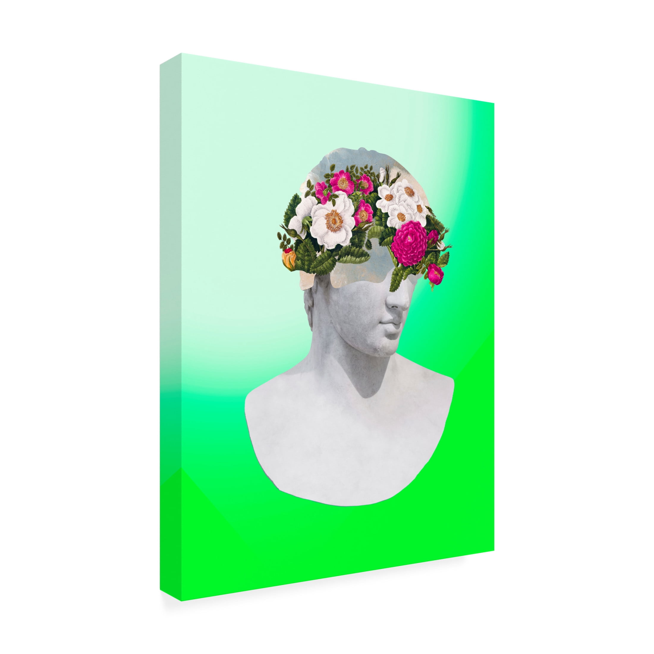 Trademark Fine Art Melissa Wang  Renaissance David I Canvas Wall Art