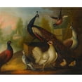 thumbnail image 2 of Marmaduke Cradock 17x15 Black Ornate Wood Framed Double Matted Museum Art Print Titled - Peacocks, Chickens and Other&nbsp;Birds in a River Landscape, 2 of 5