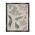 thumbnail image 2 of Stupell Industries Various Botanical Leaves Latin Study Informative Page Graphic Art Metallic Gold Floating Framed Canvas Print Wall Art, Design by Elizabeth Medley, 2 of 5