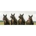 thumbnail image 2 of Weerink, Celine 24x12 White Modern Wood Framed Museum Art Print Titled - Say cheese, 2 of 4