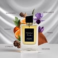 thumbnail image 2 of Perfume INTENSE ELITE Fanaa Leather Eau De Parfum 100mL for Men, 2 of 8