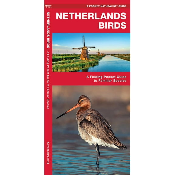Pocket Naturalist Guide: Netherland Birds: A Folding Pocket Guide to Familiar Species (Paperback)