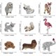 thumbnail image 5 of 21 piezas Parche Thermocollant, Autocollant De Patch Mixte Animal Apliques Parches Broderie Dcoration Parches Pour Vtements Chapeau Camiseta, 5 of 5