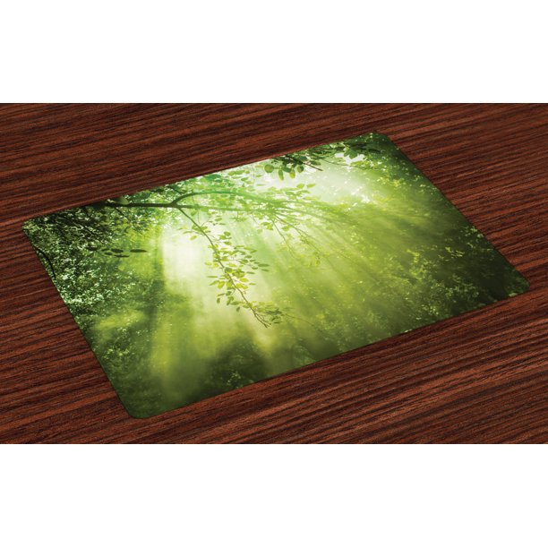 Forest Placemats Set of 4 Rays of Sun Deep Dark in the Forest in