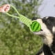 thumbnail image 4 of 5 Bolas para Perros con Cuerda, Juguete Interactivo para Perros para Comederos de Rompecabezas, Juguete de Cuerda para Perros, Juguete Resistente de T 5 piezas, 4 of 8