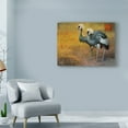 thumbnail image 3 of Trademark Fine Art 'Walking Crown' Canvas Art by Chris Vest, 3 of 4