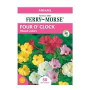 Ferry-Morse 180MG Four O' Clock Mixed Colors Flower Seeds (1 Pack)- Seed Gardening, Full Sunlight