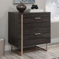 thumbnail image 3 of Pemberly Row Contemporary Engineered Wood Lateral File in Blade Walnut, 3 of 9