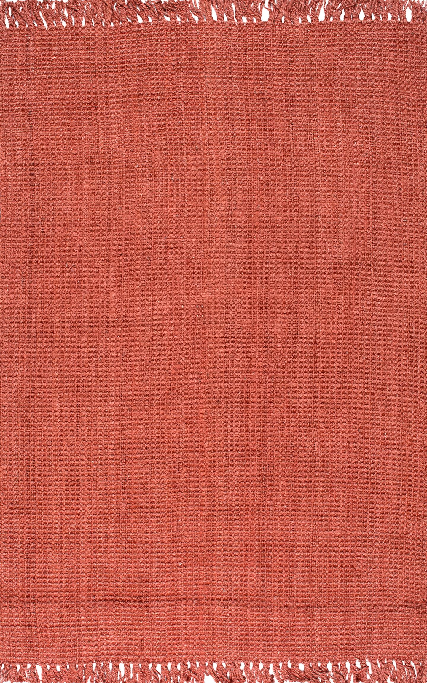 nuLOOM Daniela Farmhouse Chunky Jute Area Rug, 4' x 6', Terra
