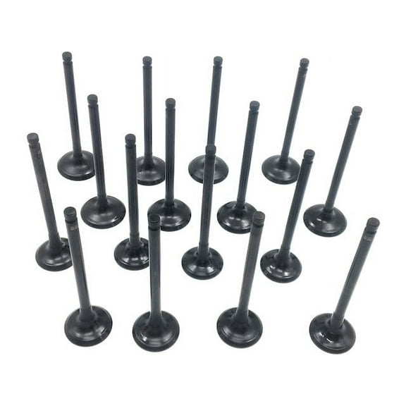 Intake and Exhaust Valve Kit - Compatible with 2001 - 2006 Kia Optima 2.4L 4-Cylinder 2002 2003 2004 2005