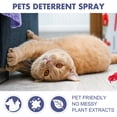 thumbnail image 2 of Protectores Muebles Sofá Tren Rasguño Natural en Aerosol Disuasorio para Rasguños Gatos, 2 of 6