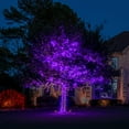 thumbnail image 7 of Morttic Christmas Lights, 200 LED 66FT Christmas Lights Plug in with 8 Modes, Waterproof Xmas Lights Outdoor, Indoor Halloween Decoration - Purple, 7 of 7