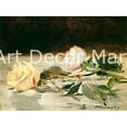 thumbnail image 1 of Two Roses On a Tablecloth-Manet - CANVAS OR FINE PRINT WALL ART, 1 of 1