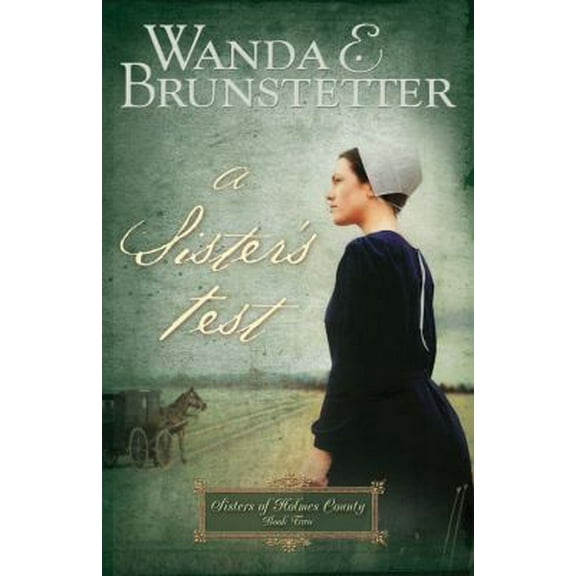 Pre-Owned A Sister's Test (Sisters of Holmes County, Book 2) (Paperback) 1597892726 9781597892728