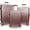 Rose Gold, variant on World Traveler Dejuno Monarch 3-Piece Polycarbonate Spinner Luggage Set - Titanium