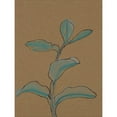 thumbnail image 3 of Delamater, Rob 19x24 Black Modern Framed Museum Art Print Titled - Little Plants of Big Sur V, 3 of 5