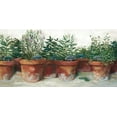 thumbnail image 2 of Rowan, Carol 24x14 Black Ornate Wood Framed with Double Matting Museum Art Print Titled - Pots of Herbs I White, 2 of 4