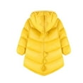 thumbnail image 5 of Feancey Winter Coats Toddler Boys Girls Cute Dinosaur Hooded Puffer Jackets Kids Warm Zip Up Padded Outerwear Baby Packable Jacket with Pockets Yellow 2 Years, 5 of 9