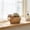Flower, variant on Yardvibe Highland Cow Resin Planter, Adorable Calf Succulent Pot with Drainage Hole & Plug, Cute Animal Planter for Cow Lovers, Home & Garden Decor (Bow)