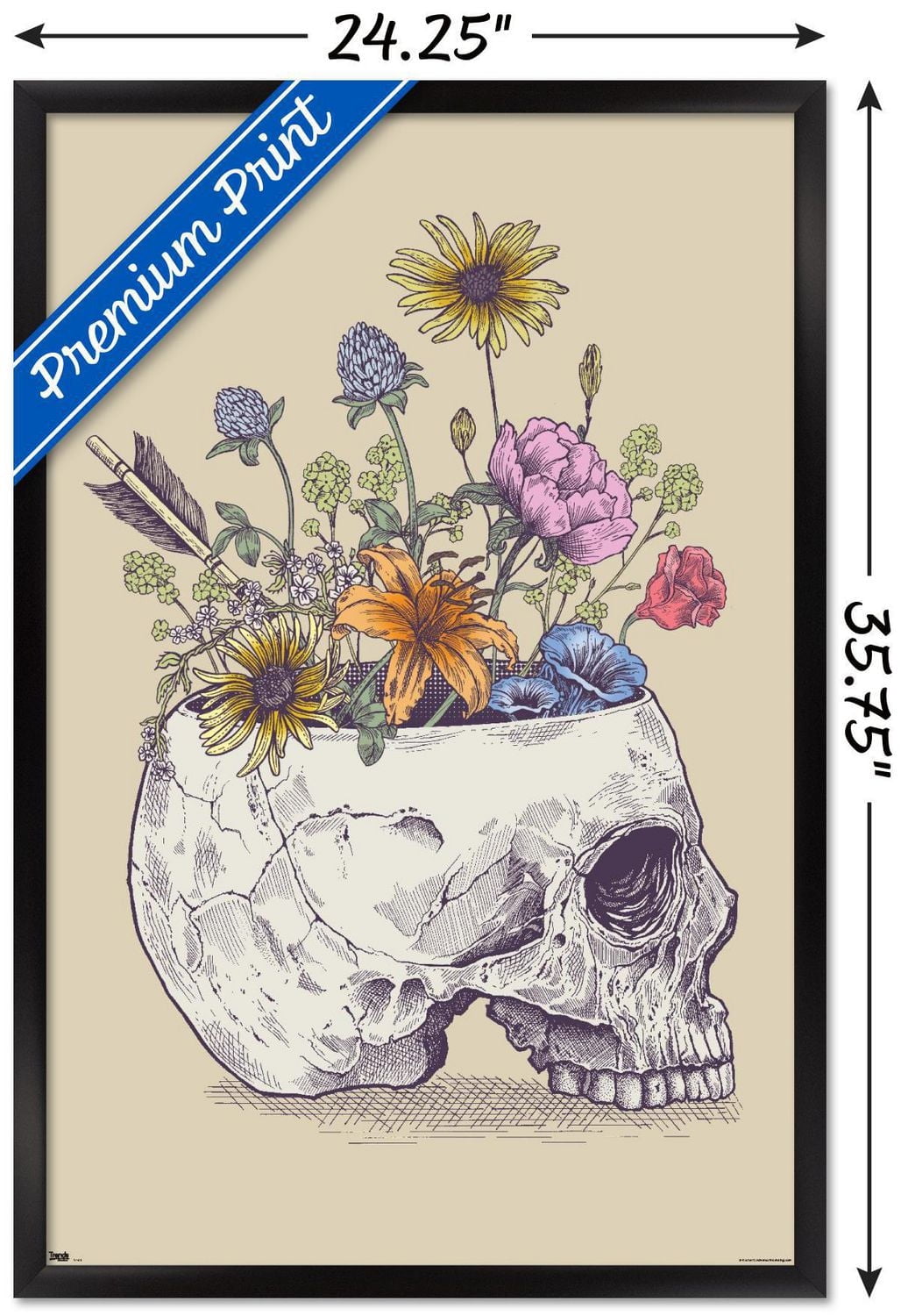 Rachel Caldwell - Flower Skull Wall Poster, 14.725" x 22.375" Framed