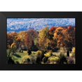 thumbnail image 2 of Hausenflock, Alan 14x11 Black Modern Framed Museum Art Print Titled - Autumn Foothills I, 2 of 5