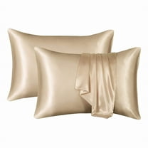 Tkrady 2Pcs Flourish Satin Pillowcase Set Silky Pillow Cases For Hair And Skin No Zipper Pillow Cover With Envelope Closure Pillow Case