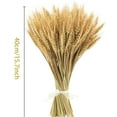 thumbnail image 2 of 100 Pcs Dried Wheat Stalks,Bexikou 15.7" Natural Wheat Bundle, Dry Flowers Dried Flowers Arrangement for Home Wedding Party Table Centerpieces DIY Design Farmhouse Decor, 2 of 7