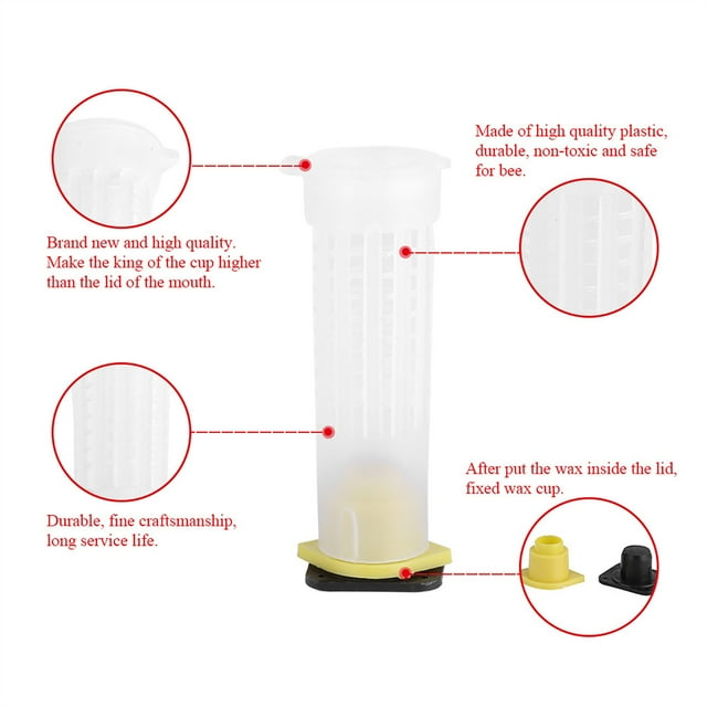 Kit d'Élevage Apicole Cages à Rouleaux pour Reines Abeilles Équipement Apiculteur Outil 50 / 70 / 100 Cages à Rouleaux