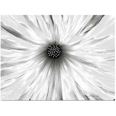 Trademark Art "White Garden" Canvas Art by Kathie McCurdy
