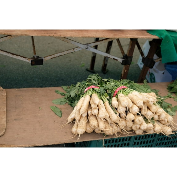 Daikon Radish Seeds/ Annual/ Full Sun/700 Seeds 1/4 oz/ Zellajake Farm and Garden - B289