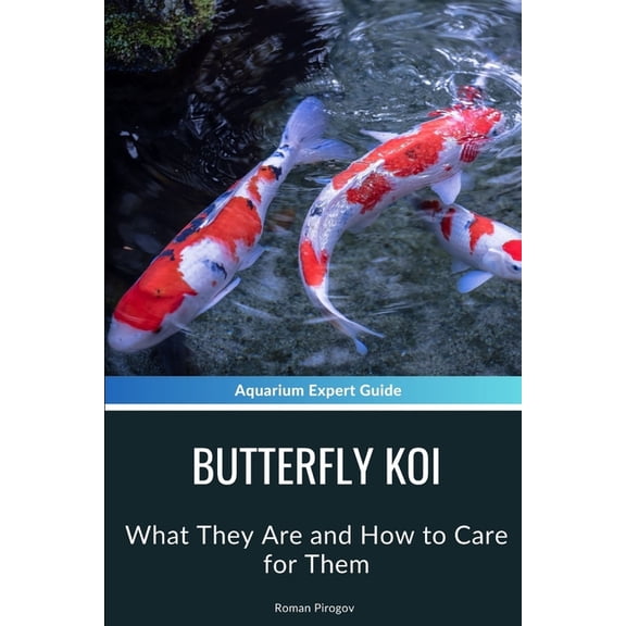 Butterfly Koi: What They Are and How to Care for Them, (Paperback)