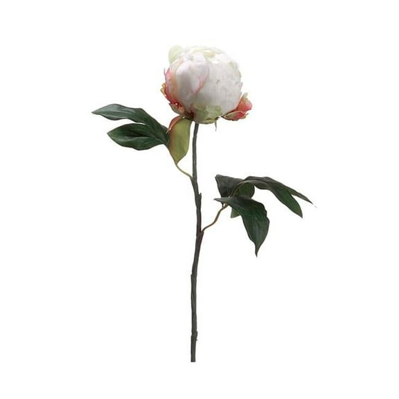 Allstate Floral & Craft FSP701-CR 18 in. Silk Peony Bud Flower Spray - Cream