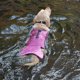 thumbnail image 2 of Chaleco salvavidas ajustable ShuxiuWang para perros pequeños con alta flotabilidad, 2 of 3