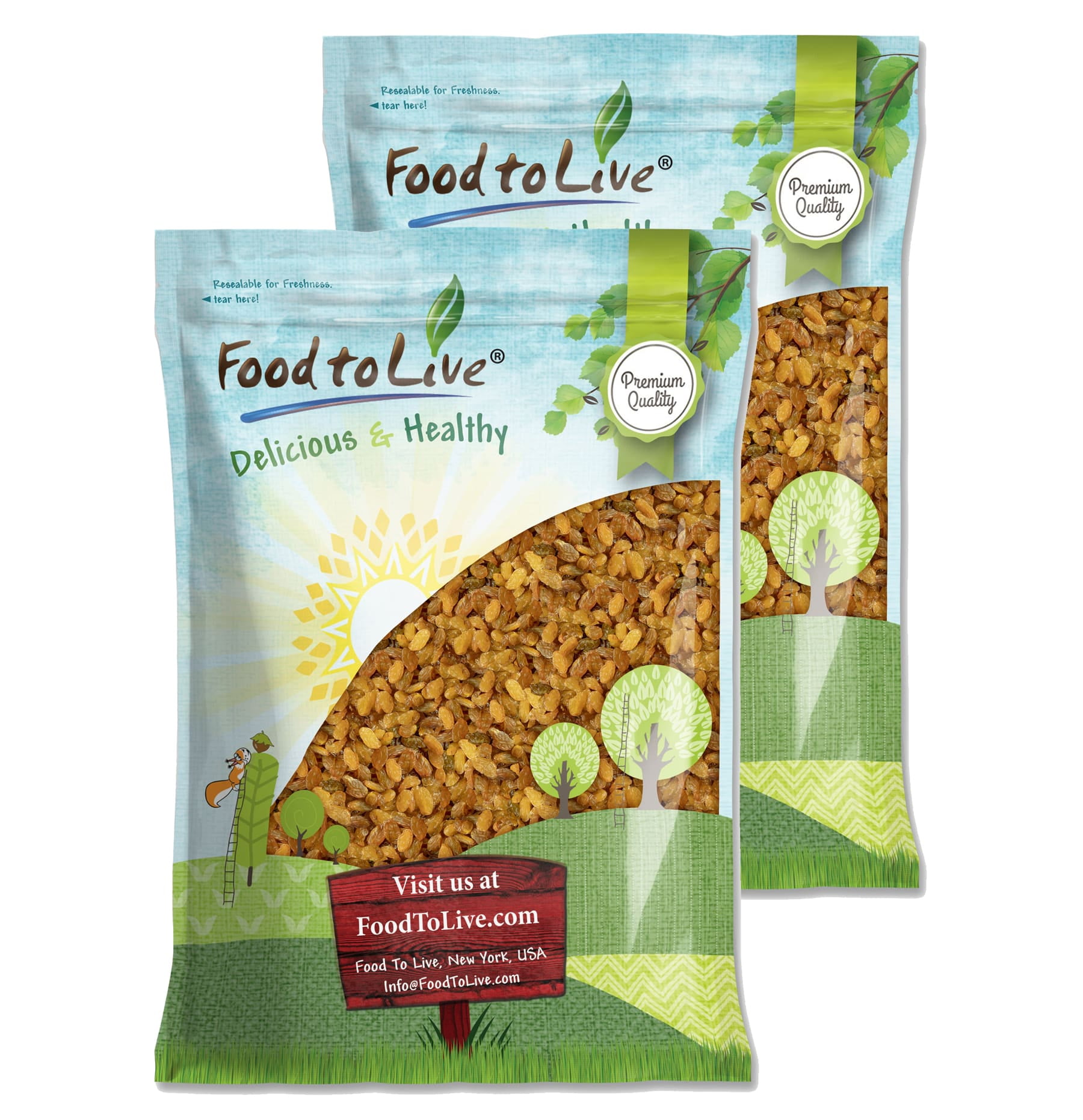 Golden Jumbo Raisins, 16 Pounds — Raw, Vegan, Kosher — by Food to Live