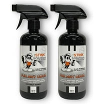 The Stink Solution Car Odor Eliminator Spray, Coconut Mango, 16 oz, 2 Count