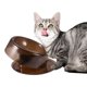 thumbnail image 1 of Tazón De Comida Para Gatos, Tazón Para Mascotas, Protege La Columna Cervical, Tazón De Comida Para Gatos Antivuelco, Tazón De Alimentación Inevent PT001487-02, 1 of 7