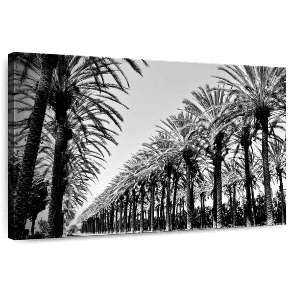Elephant Stock Palms In Order Wall Art - Horizontal Canvas Wall Art - Living Room Wall Decor - Floral And Botanical Canvas - Black And Gray Decor By Susan Vizvary - 12" x 8"