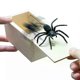 thumbnail image 1 of Trick Spider Funny Scare Box Wooden Hidden Box Quality Prank Wooden Scare Box Fun Game Prank Trick Friend Office Toys, 1 of 5