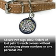 Privacy Pet Tags Smart Tag That Protects Personal info and Pets