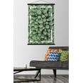 thumbnail image 2 of Cactus - Group Wall Poster with Wooden Magnetic Frame, 22.375" x 34", 2 of 4
