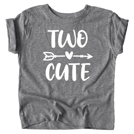 

Two Cute Arrow 2nd Birthday Shirt for Toddler Girls Second Birthday Outfit Granite Heather Shirt 4T