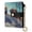 Three Kings Holding The Flag, variant on Small Wallet For Women Bifold Leather Pocket Coin Credit Card Holder With RFID Blocking White Wolf